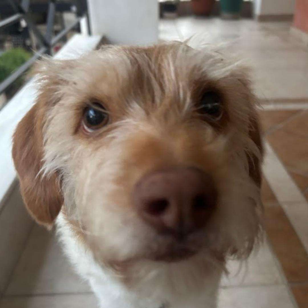 Cheddar @ cheddar1
