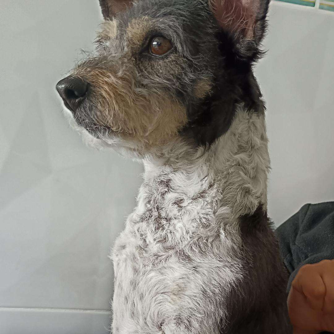 Bíbi @ bbi1