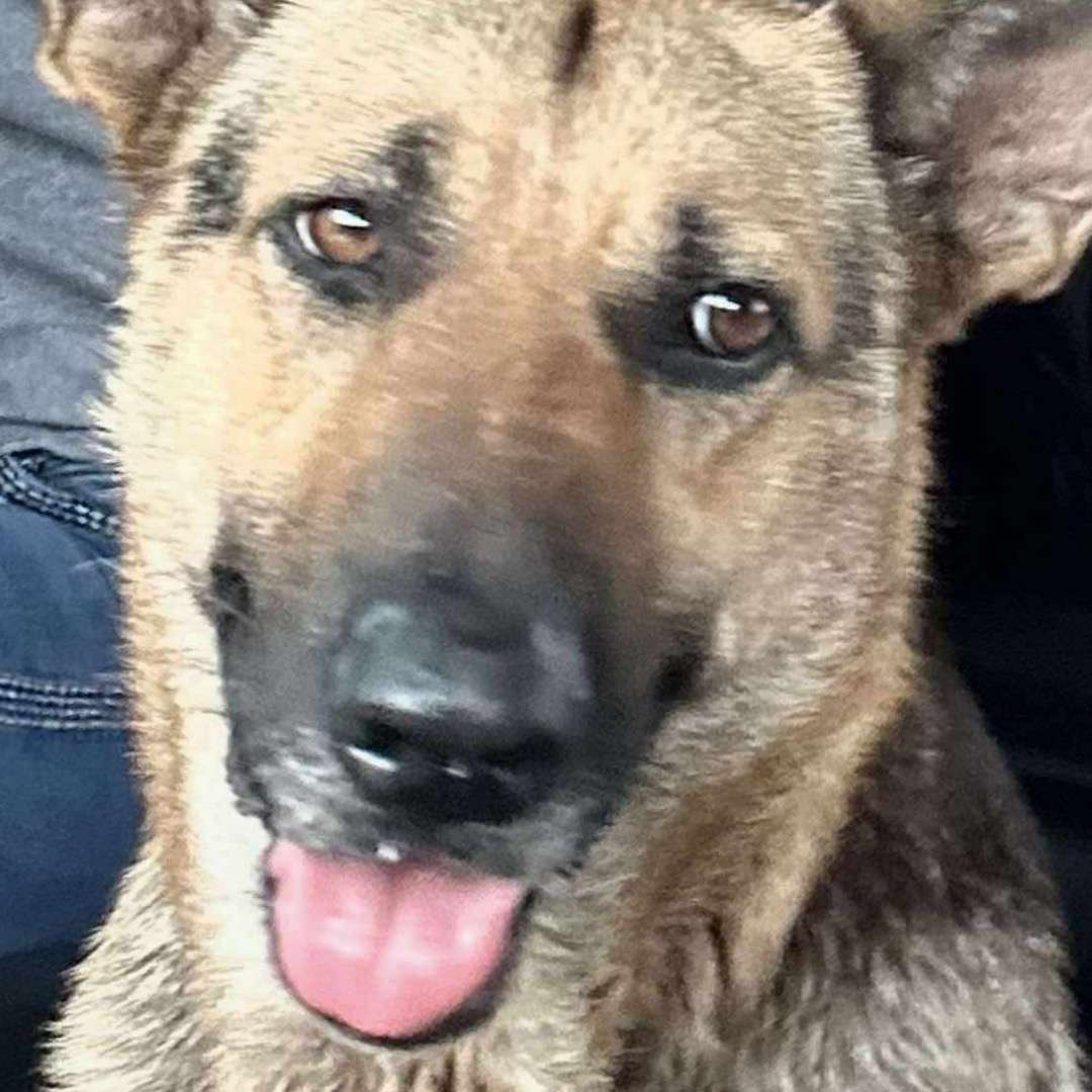 Cali @ cali1
